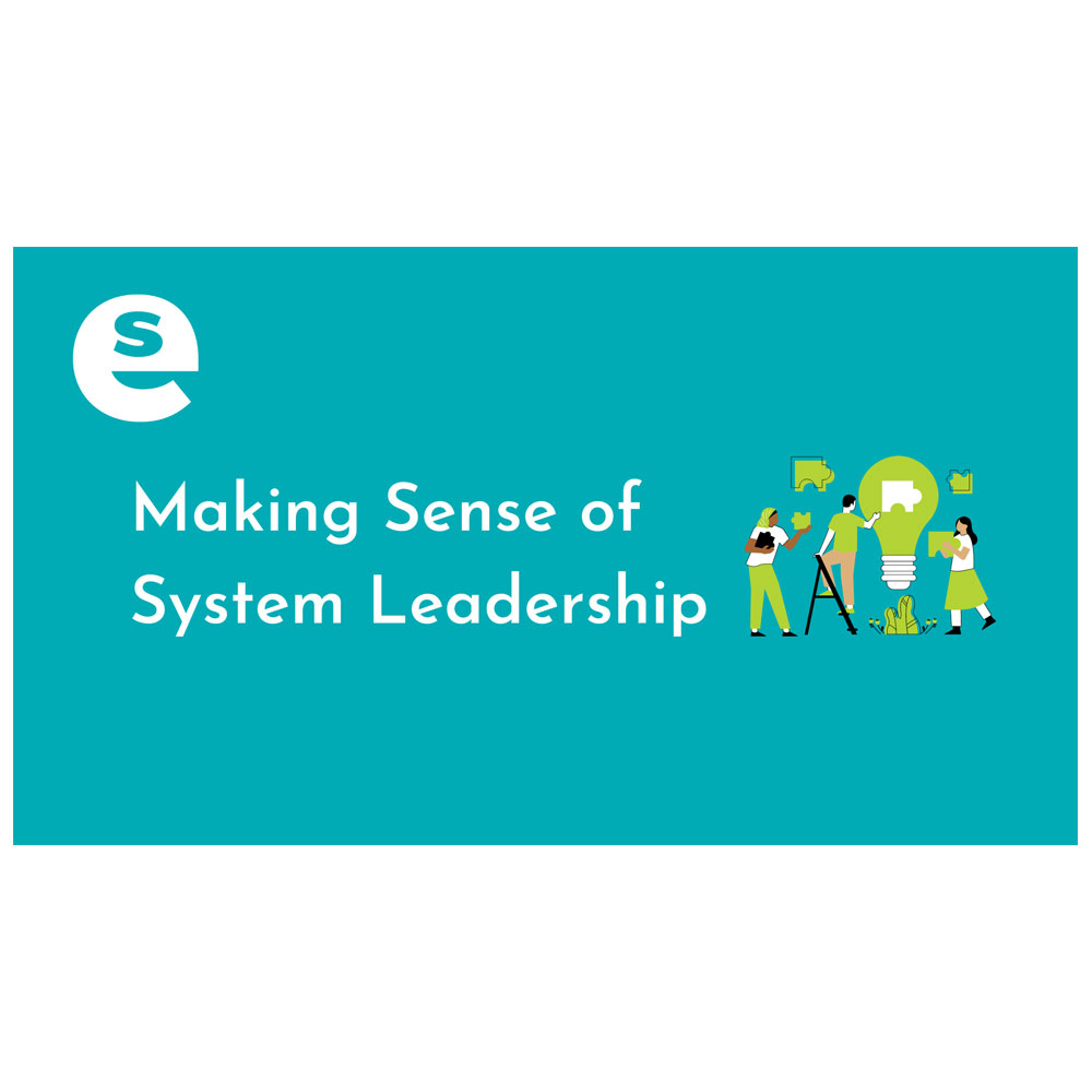 Making sense of System Leadership