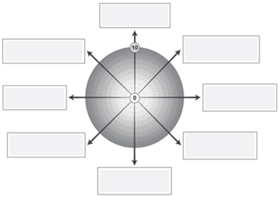 Black and white image of self-evaluation wheel