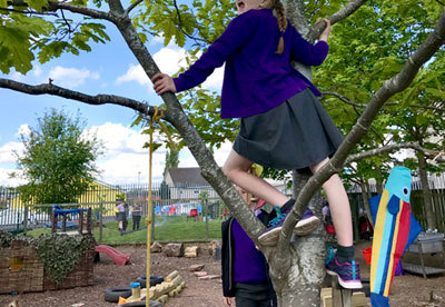 Photo of girl climbing tree